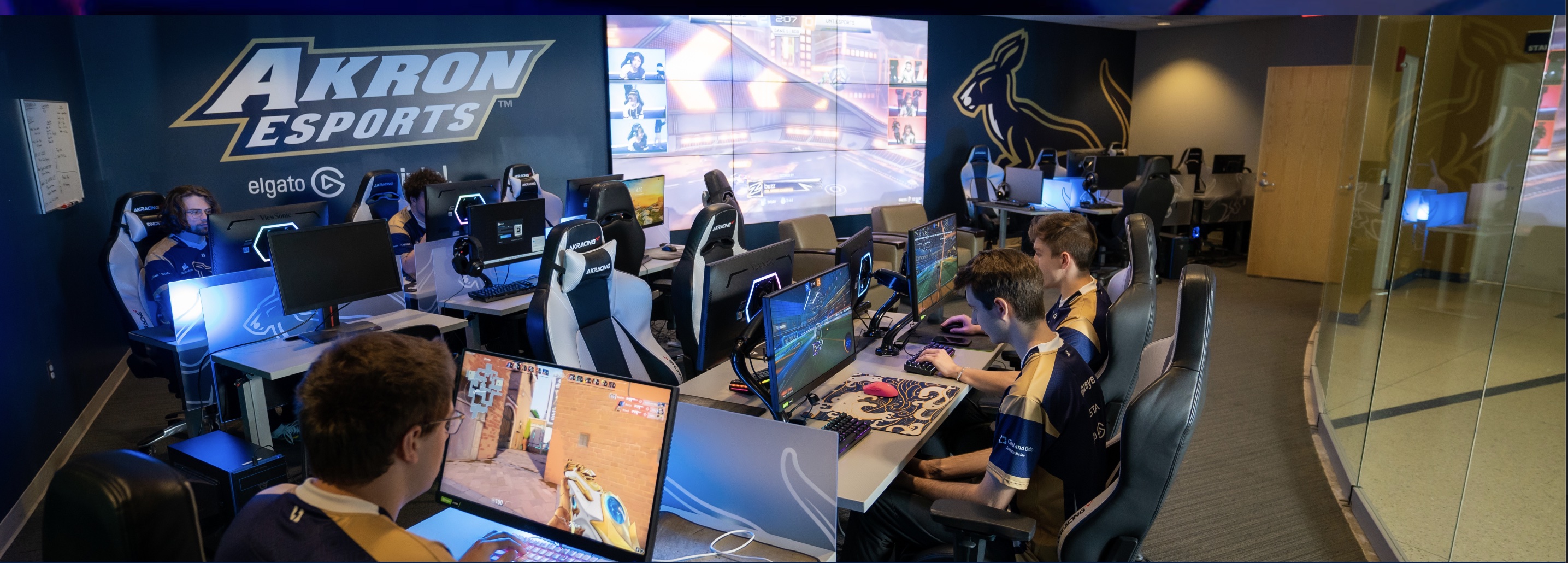 UA ESPORTS
