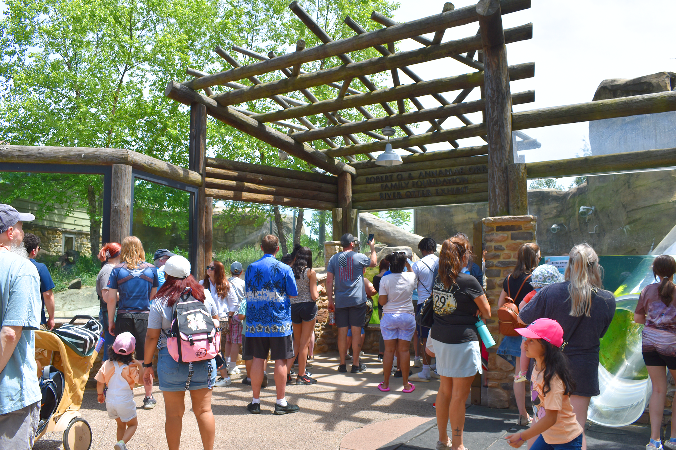 Akron Zoo crowd